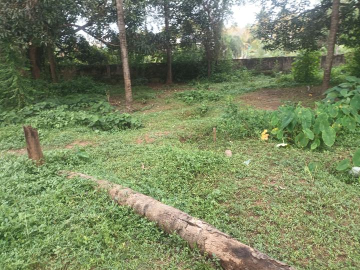 Palakkal Plot View 1