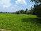 NATURE’S PARADISE Plot View 2