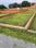 Dasepur Plot View 2