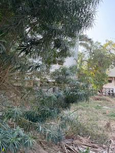 Image of 360 Sq.ft Residential Plot / Land for sale in Vastrapur, Ahmedabad for Rs. 48600000