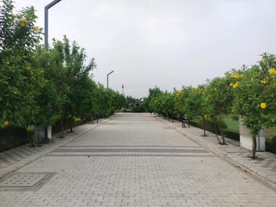 Image of 104 Sq.ft Residential Plot / Land for sale in Mansha Oaks, Sector 98, Faridabad for Rs. 12600000