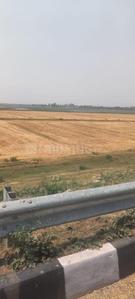 Image of 1500 Sq.ft Residential Plot / Land for sale in Maniram, Gorakhpur for Rs. 781500