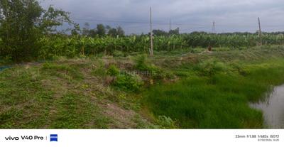 Image of 6000 Sq.ft Residential Plot / Land for sale in Amleshwar, Raipur for Rs. 3300000