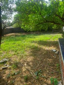 Residential Plot