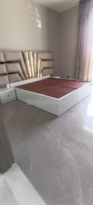 Image of 3000 Sq.ft 3 BHK Builder Floor for rent in Sector 30, Noida for Rs. 100000