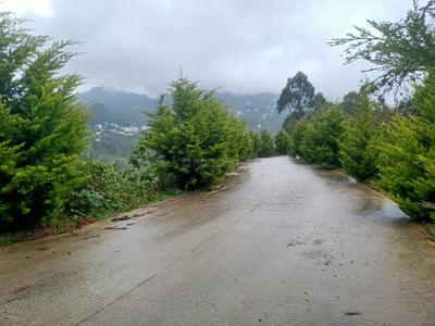 Image of 12500 Sq.ft Residential Plot / Land for sale in Vilpatti, Kodaikanal for Rs. 8100000