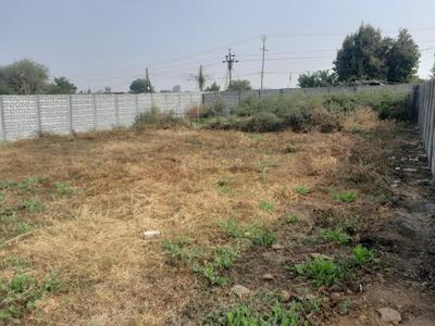 Besa Pipla Plot View 3