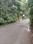 Vriddhica Heritage Plots Internal Roads 2