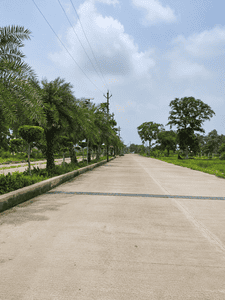 Image of 1250 Sq.ft Residential Plot / Land for sale in Torwa, Bilaspur for Rs. 1718750