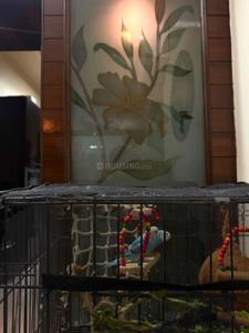 Balcony Image of 4000 Sq.ft 6 BHK Independent House for sale in Sector 69 Mohali for Rs. 55000000