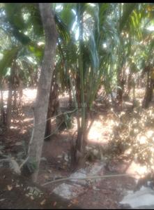 Image of 3900 Sq.ft Residential Plot / Land for sale in Koikkal, Kollam for Rs. 2000000