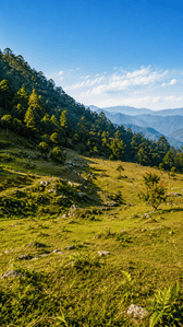 Image of 300 Sq.ft Residential Plot / Land for sale in Kanyura, Almora for Rs. 2500000