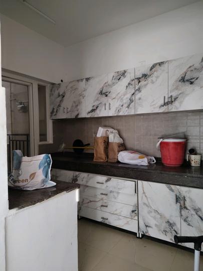 ACE Divino Main Image 1