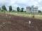 Wagholi Plot View 2