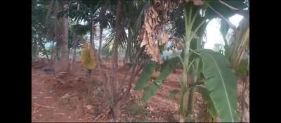 Image of 10000 Sq.ft Residential Plot / Land for sale in Attur, Salem for Rs. 20000000