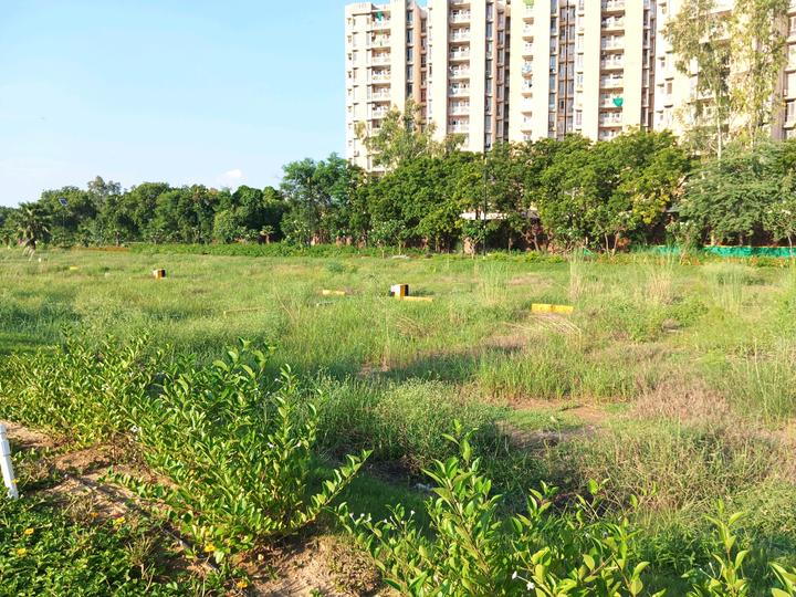 Betterchoice Vanya City Main Image 1
