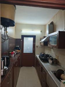 Kitchen Image of 1500 Sq.ft 3 BHK Apartment / Flat for rent in Sector 49 Chandigarh for Rs. 45000