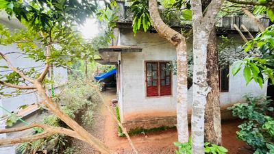 Image of 800 Sq.ft 3 BHK Independent House for sale in Mattannur, Kannur for Rs. 1800000