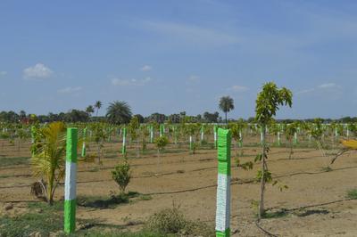 Image of 9600 Sq.ft Residential Plot / Land for sale in Chengalpattu, Chennai for Rs. 2400000