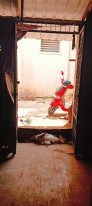 Bedroom Image of 1050 Sq.ft 3 BHK Independent House for sale in Attar Mohalla Thanjavur for Rs. 5250000