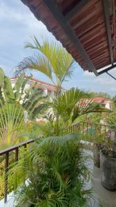 Image of 4410 Sq.ft 4 BHK Villa for sale in Assagao, Goa for Rs. 150000000