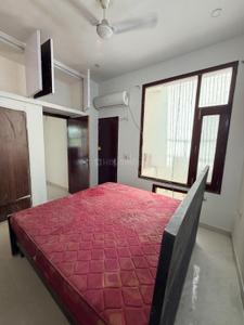 Bedroom Image of 999 Sq.ft 2 BHK Apartment / Flat for rent in Model Town Panipat for Rs. 18500