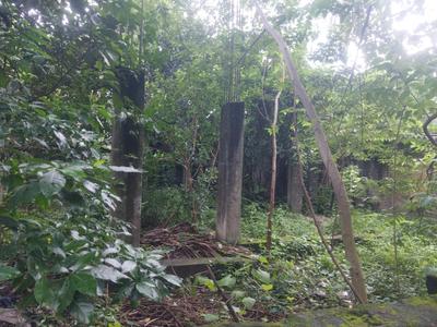 Rajdanga Gardens Plot View 2