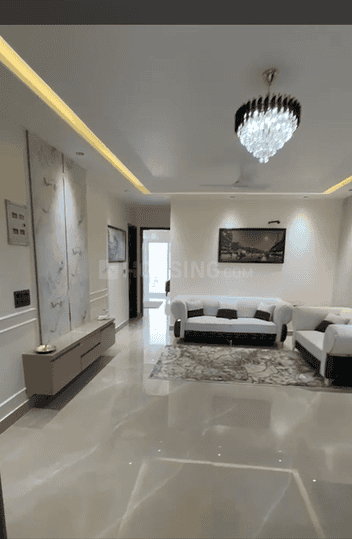 Amolik Aster Woods Main Image 1