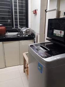 Kitchen Image of 775 Sq.ft 2 BHK Apartment / Flat for rent in Evershine Millennium Paradise, Kandivali East Mumbai for Rs. 55000