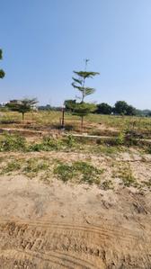 Image of 750 Sq.ft Residential Plot / Land for sale in Koba, Gandhinagar for Rs. 52500000