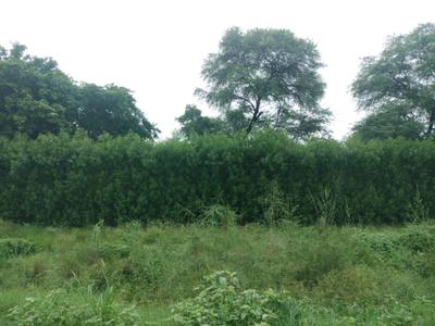 Image of 180 Sq.ft Residential Plot / Land for sale in Mansha Orchid, Khera Village, Faridabad for Rs. 13680000