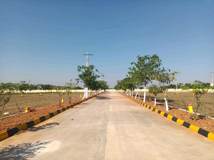 Alekhya NSR County Main Image 1
