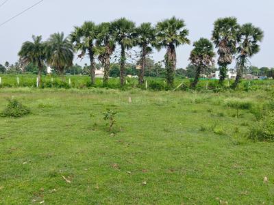 Image of 2700 Sq.ft Residential Plot / Land for sale in Diwancheruvu, Rajahmundry for Rs. 1110000