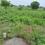 Raghunadapalem Main Image 1