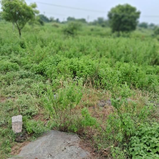 Raghunadapalem Main Image 1