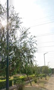 Image of 2700 Sq.ft Residential Plot / Land for sale in Sector 109, Mohali for Rs. 30000000