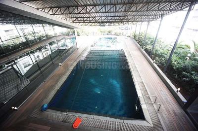 Swimming Pool Image of 3000 Sq.ft 2 BHK Apartment / Flat for sale in Kharadi Pune for Rs. 34000000
