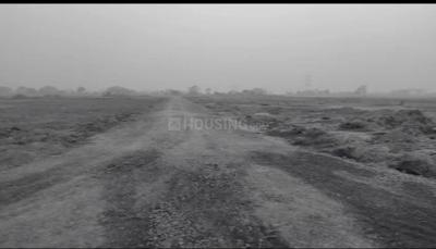 Image of 1315 Sq.ft Residential Plot / Land for sale in Gosainganj, Lucknow for Rs. 5600000