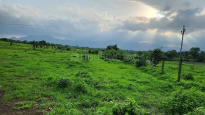 Image of 49005 Sq.ft Residential Plot / Land for sale in Murbad, Thane for Rs. 8775000