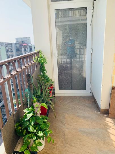 DD Altura Main Image 1