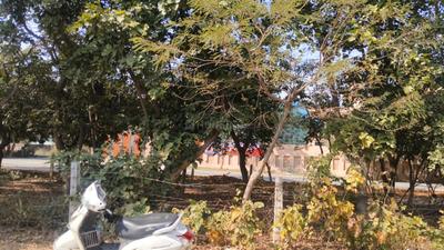 Image of 300 Sq.ft Residential Plot / Land for sale in Omega 1, Greater Noida for Rs. 49500000