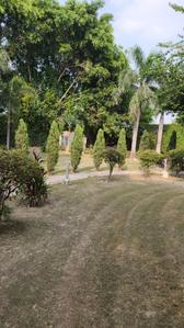 Image of 3000 Sq.ft 3 BHK Farm House for sale in DPL Nature Retreat, Tech Zone, Greater Noida for Rs. 7500000