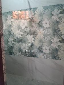 Bathroom Image of 1100 Sq.ft 2 BHK Apartment / Flat for rent in Dharampeth Nagpur for Rs. 21000