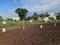 Wagholi Plot View 2