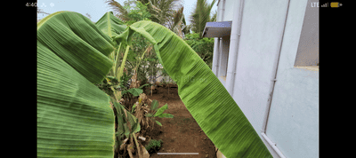 Image of 1500 Sq.ft 2 BHK Independent House for rent in Thiruverumbur, Tiruchirappalli for Rs. 13000