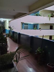 Balcony Image of 1300 Sq.ft 3 BHK Apartment / Flat for rent in South Civil Lines Jabalpur for Rs. 18000