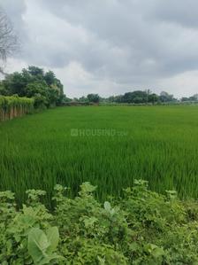 Image of 43560 Sq.ft Residential Plot / Land for sale in Ashapur Village, Ayodhya for Rs. 67000000