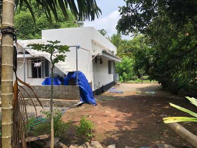 Image of 1200 Sq.ft 3 BHK Independent House for sale in Mannuthy, Thrissur for Rs. 5500000