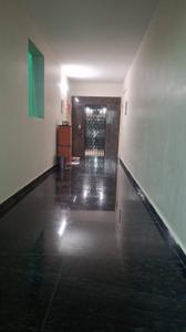 Image of 1105 Sq.ft 2 BHK Apartment / Flat for rent in Sunderpur, Varanasi for Rs. 16000