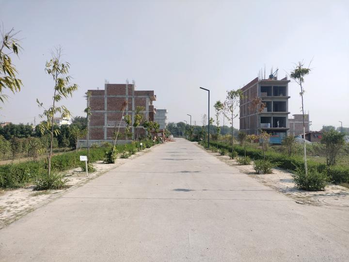 Amolik Aster Woods Main Image 1